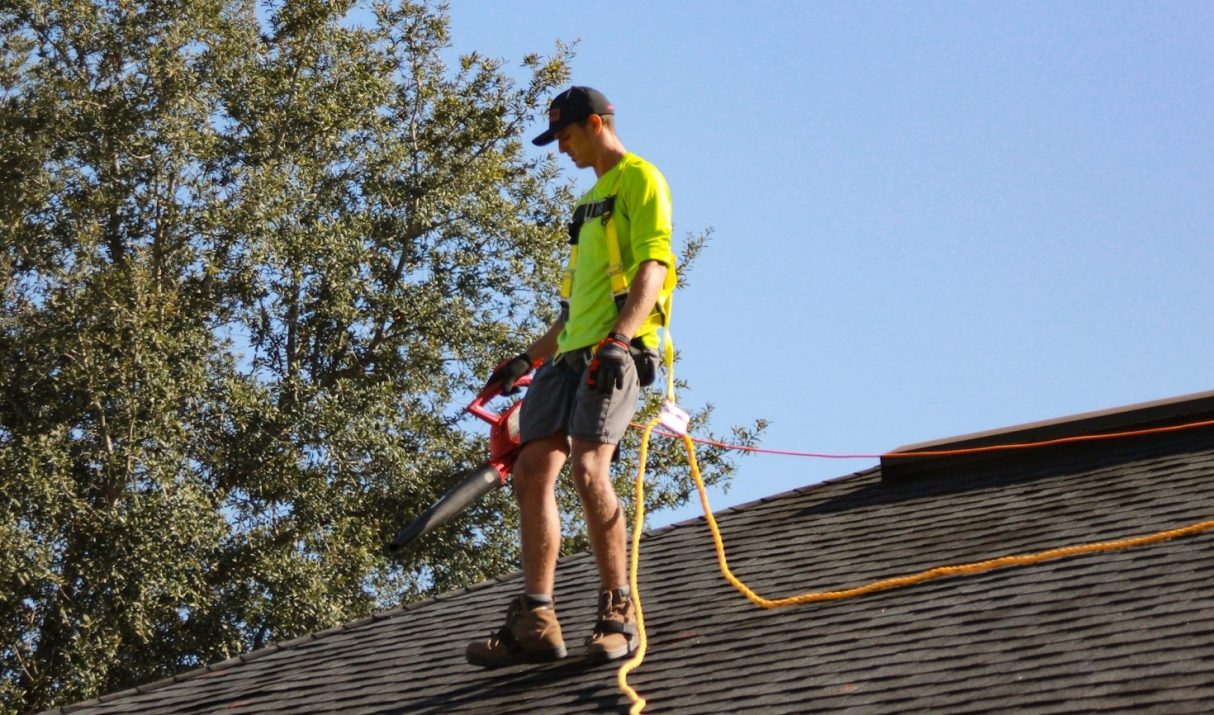 Why Moss Removal is Crucial for Your Roof