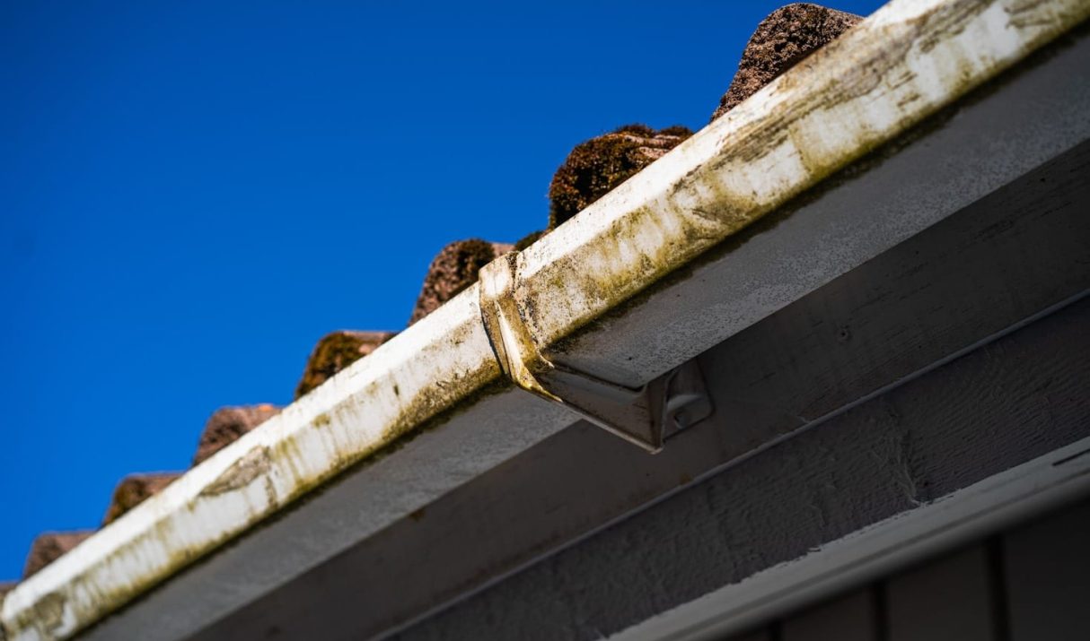 Seasonal Roof Maintenance Tips for Brisbane Homes