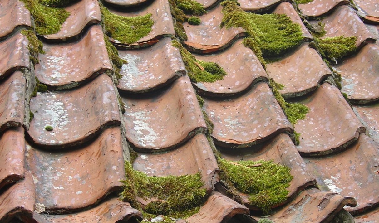 The Latest Techniques in Roof Cleaning