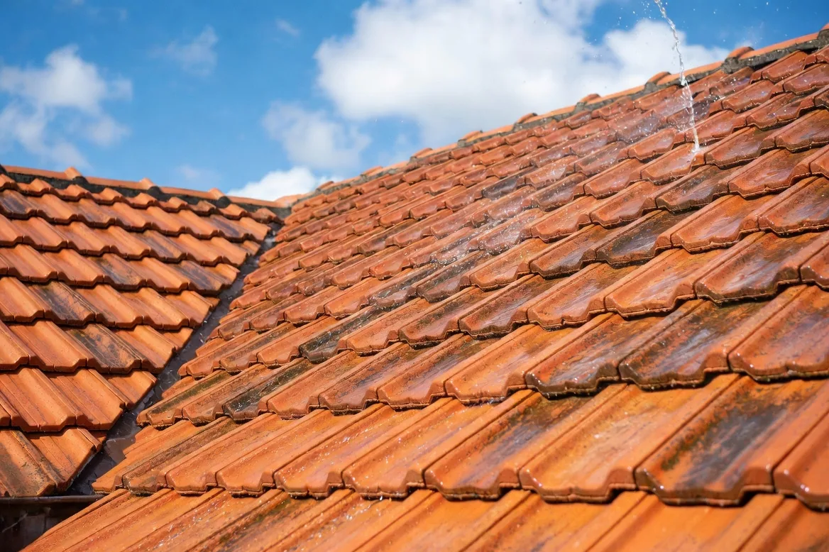 Terracotta Roofs